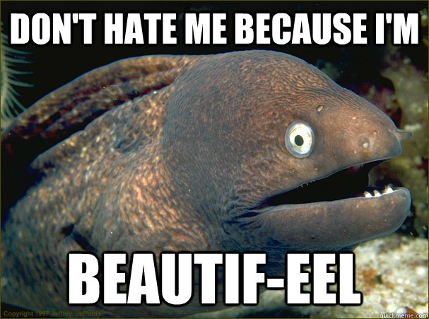 Don't hate me because I'M Beautif-eel  Bad Joke Eel