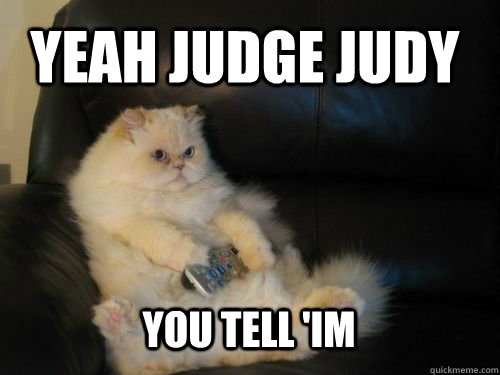 Yeah judge judy you tell 'im  Disapproving TV Cat