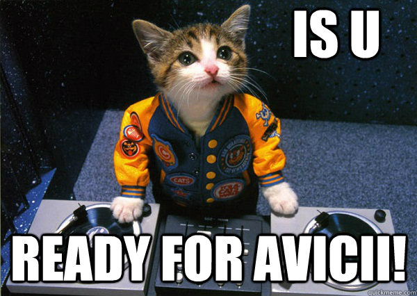 is U Ready for avicii! - is U Ready for avicii!  Dj cat