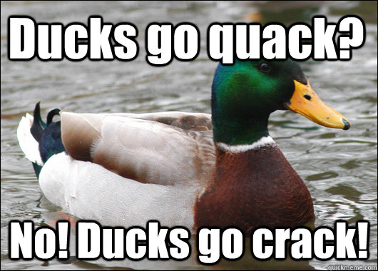 Ducks go quack? No! Ducks go crack!  Actual Advice Mallard