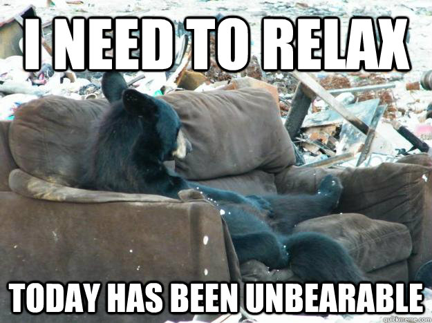 unBEARable memes | quickmeme