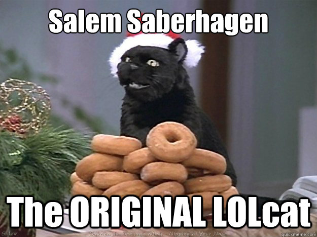Featured image of post Salem Saberhagen Memes Salem cat salem saberhagen my spirit animal cultura pop reaction pictures cool cats my idol childhood hilarious