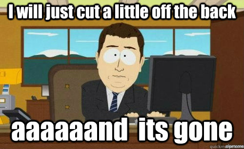I will just cut a little off the back aaaaaand  its gone  anditsgone