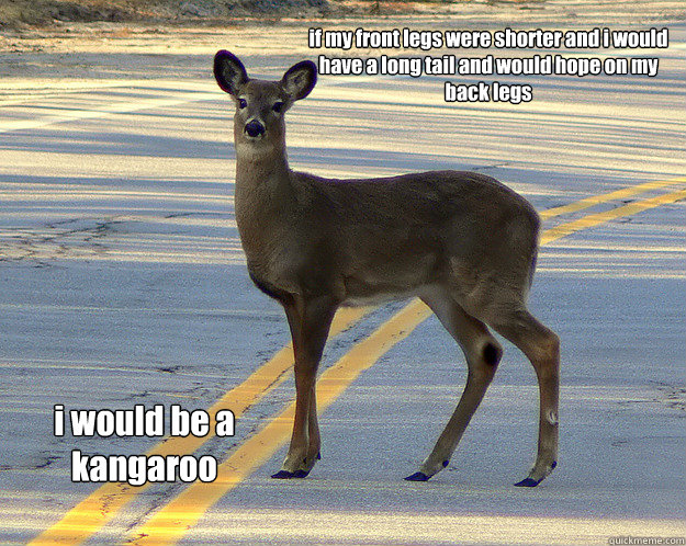 if my front legs were shorter and i would have a long tail and would hope on my back legs  i would be a kangaroo - if my front legs were shorter and i would have a long tail and would hope on my back legs  i would be a kangaroo  scumbag deer