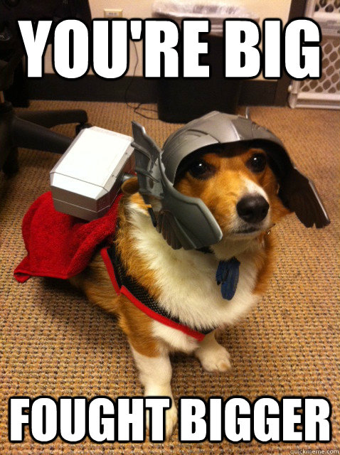 You're big Fought Bigger  Thorgi Dog of Thunder