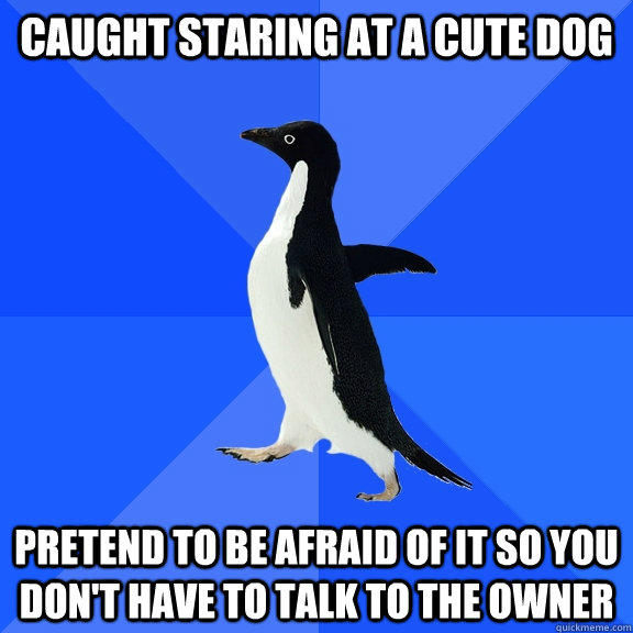 Caught staring at a cute dog Pretend to be afraid of it so you don't have to talk to the owner  Socially Awkward Penguin