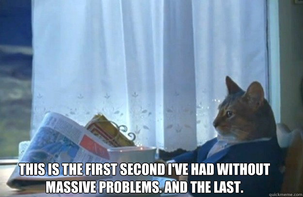 This is the first second I've had without massive problems. And the last.  Sophisticated Cat