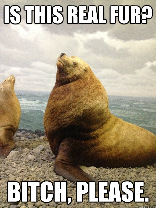 Is this real fur? Bitch, please. - Is this real fur? Bitch, please.  Fabulous Lion Seal