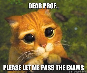 Dear Prof., please let me pass the exams  Puss in boots