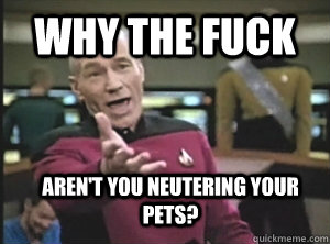 why the fuck aren't you neutering your pets?  Annoyed Picard