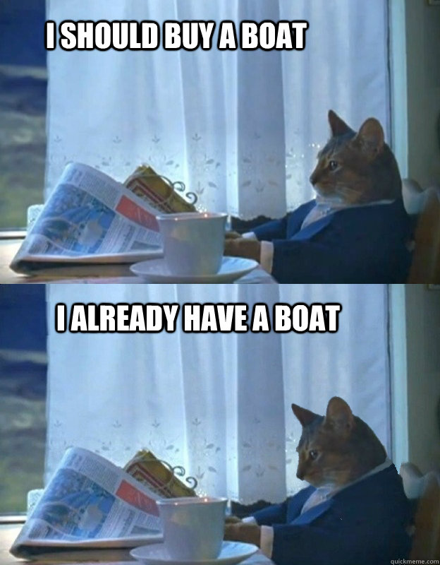I should buy a boat I already have a boat  Sad Sophisticated Cat
