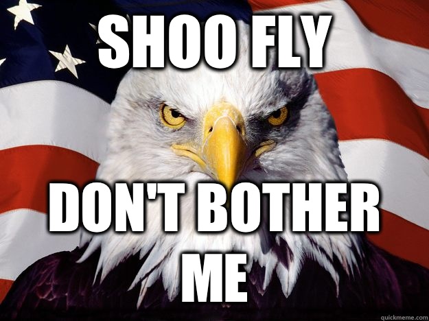Shoo fly Don't bother me - Shoo fly Don't bother me  One-up America