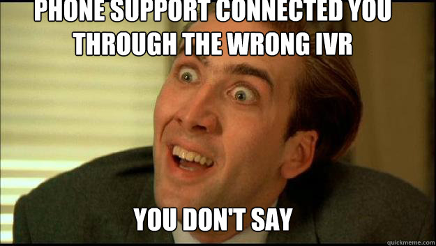 Phone support connected you through the wrong IVR You Don't say  you dont say