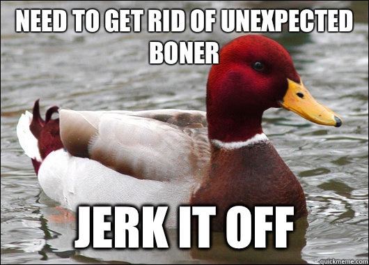 Need to get rid of unexpected boner Jerk it off  Malicious Advice Mallard