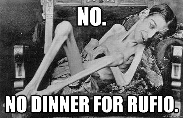 NO. No dinner for rufio.  