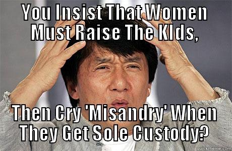 YOU INSIST THAT WOMEN MUST RAISE THE KIDS, THEN CRY 'MISANDRY' WHEN THEY GET SOLE CUSTODY? EPIC JACKIE CHAN