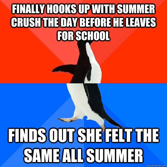 finally hooks up with summer crush the day before he leaves for school finds out she felt the same all summer  Socially Awesome Awkward Penguin