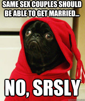 Same sex couples should be able to get married... No, srsly - Same sex couples should be able to get married... No, srsly  Serious Pug