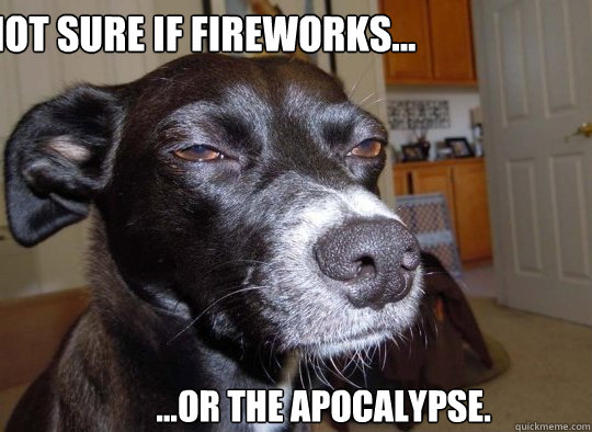 Not sure if fireworks... ...or the apocalypse.  