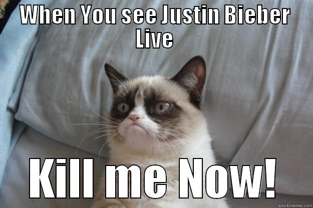 WHEN YOU SEE JUSTIN BIEBER LIVE KILL ME NOW! Grumpy Cat