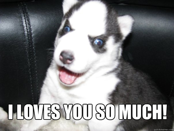 I loves you so much!  Insanity puppy