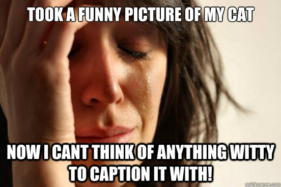 took a funny picture of my cat now i cant think of anything witty to caption it with!  First World Problems