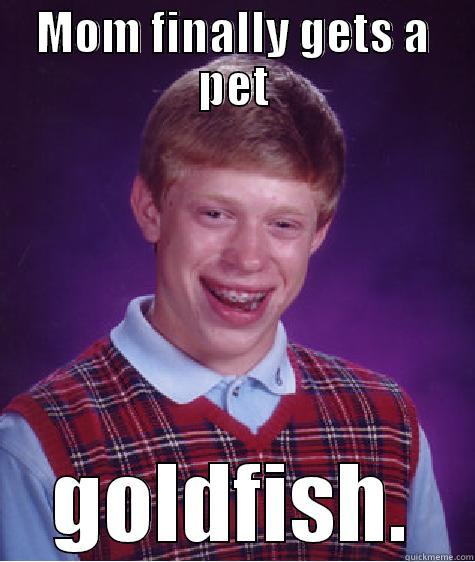 MOM FINALLY GETS A PET GOLDFISH. Bad Luck Brian