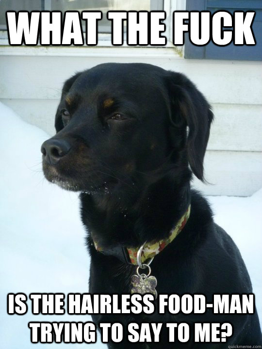 what the fuck is the hairless food-man trying to say to me? - what the fuck is the hairless food-man trying to say to me?  Philosophical Puppy