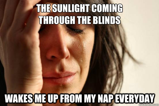 The sunlight coming 
through the blinds wakes me up from my nap everyday  First World Problems
