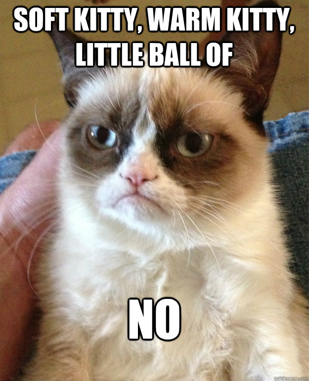 Soft kitty, warm kitty, little ball of NO  Grumpy Cat