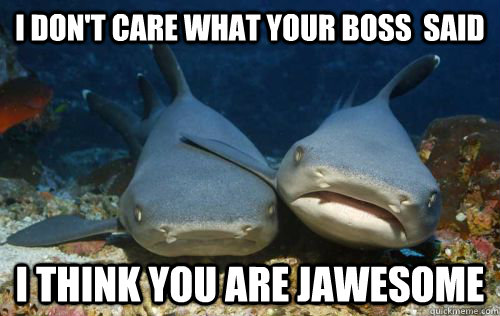 I don't care what your boss  said i think you are jawesome  Compassionate Shark Friend
