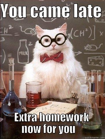 YOU CAME LATE  EXTRA HOMEWORK NOW FOR YOU    Chemistry Cat