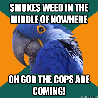 Smokes weed in the middle of nowhere oh god the cops are coming!  Paranoid Parrot