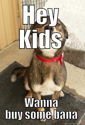 HEY KIDS WANNA BUY SOME BANA Good Dog Greg