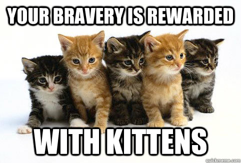 your bravery is rewarded with kittens  