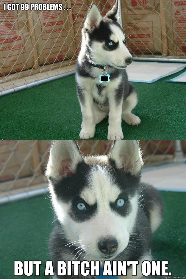 I got 99 problems . . . but a bitch ain't one.  Insanity puppy