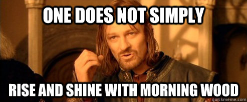 One does not simply rise and shine with morning wood - One does not simply rise and shine with morning wood  One Does Not Simply