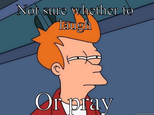 NOT SURE WHETHER TO LAUGH OR PRAY Futurama Fry
