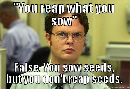 You reap what you sow - 