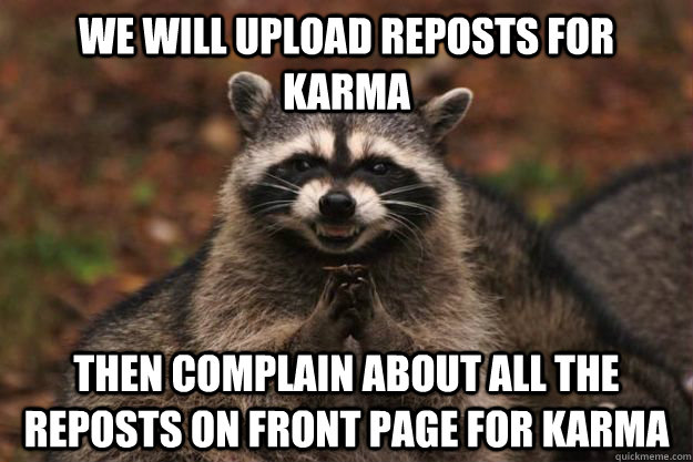 We will upload reposts for karma then complain about all the reposts on front page for karma  Evil Plotting Raccoon