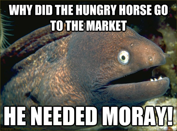 Why did the hungry horse go to the market he needed moray!  Bad Joke Eel