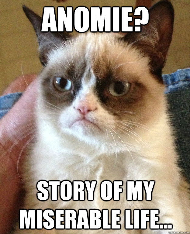 Anomie? Story of my miserable life...  Grumpy Cat