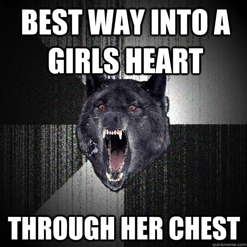 best way into a girls heart through her chest  Insanity Wolf