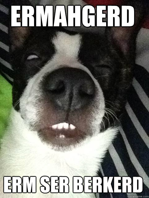 ermahgerd ERM SER BERKERD

 - ermahgerd ERM SER BERKERD

  Down syndrome dog