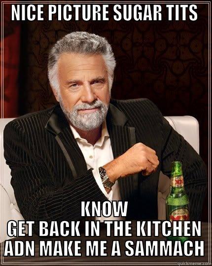 NICE PICTURE SUGAR TITS KNOW GET BACK IN THE KITCHEN ADN MAKE ME A SAMMACH The Most Interesting Man In The World