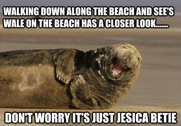 walking down along the beach and see's wale on the beach has a closer look....... don't worry it's just jesica betie  Sea Lion Brian