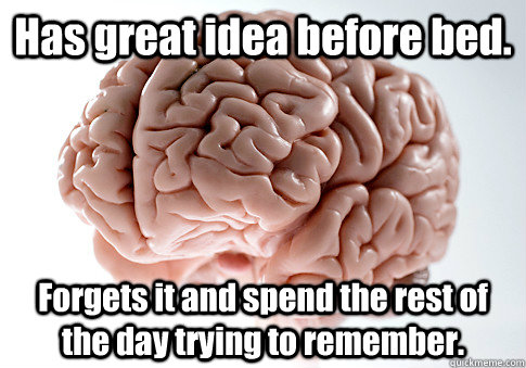 Has great idea before bed. Forgets it and spend the rest of the day trying to remember.  Scumbag Brain