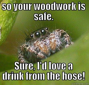 I ate all the carpenter ants so your woodwork is safe. -  SURE, I'D LOVE A DRINK FROM THE HOSE! Misunderstood Spider