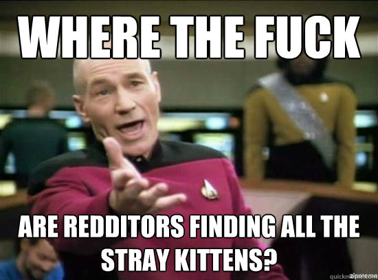 Where the fuck are redditors finding all the stray kittens?  Annoyed Picard HD