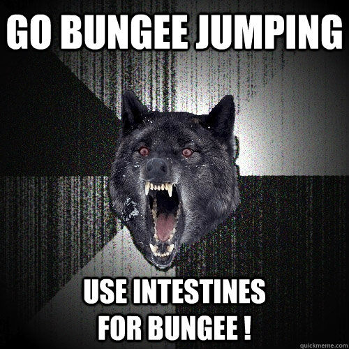 Go bungee jumping use intestines                        for bungee !  Insanity Wolf